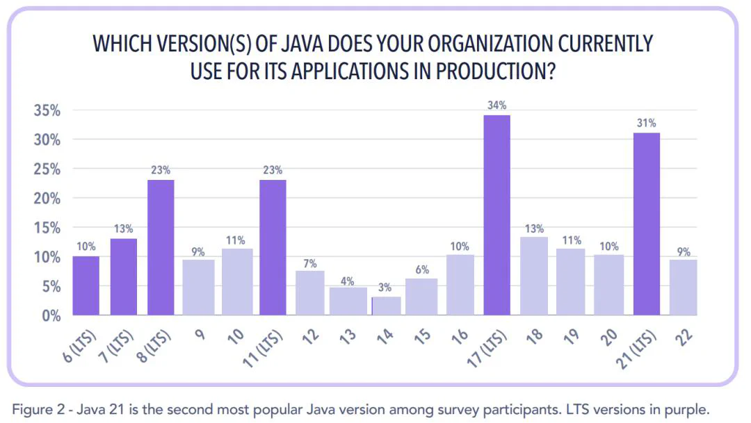 java-report